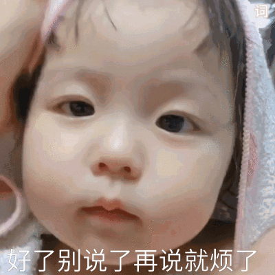 二传dt林乐词 自制o