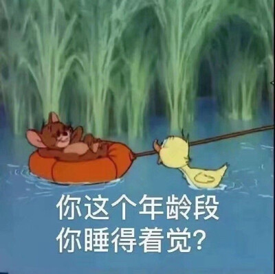 杰瑞表情包