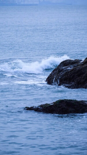 大海