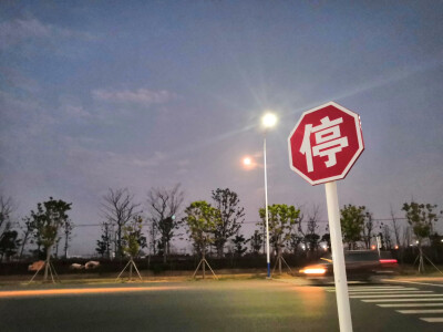 夕阳 斑马 残影 圆月