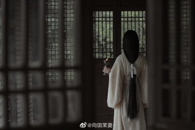 古风美人
出镜： 猫夏小卡