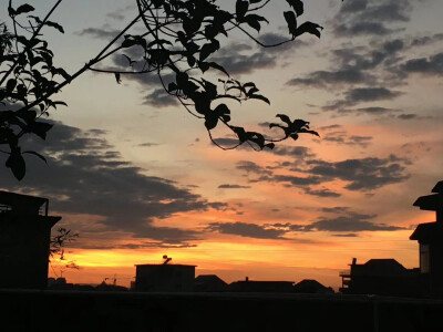 学校夕阳
背景图