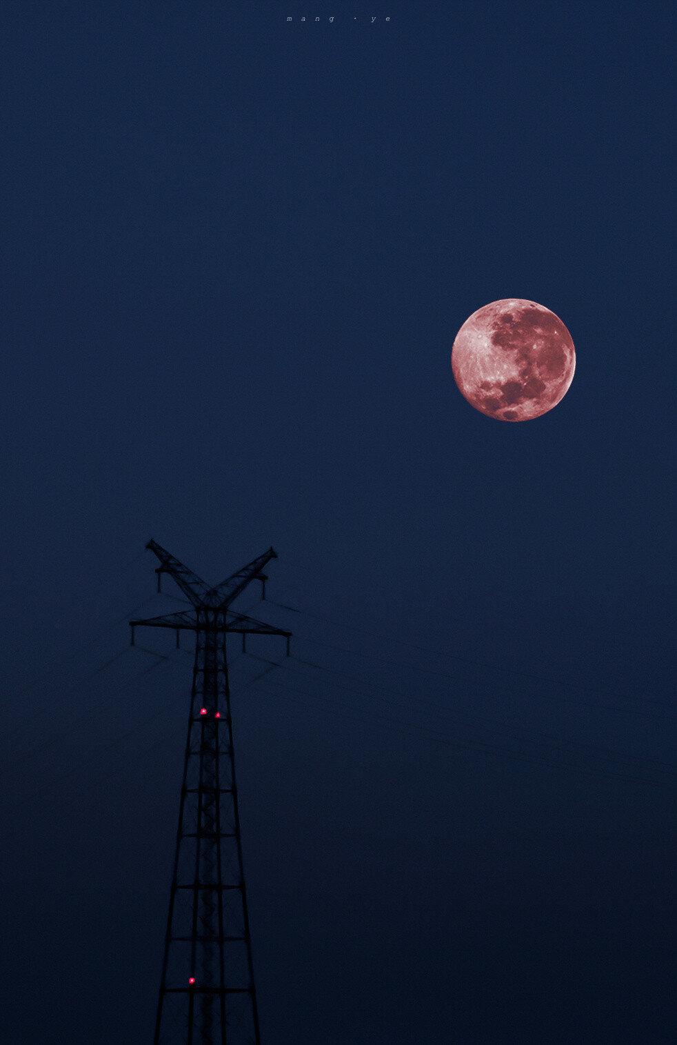 " cosmic romance. " 图源水印 wb芒野-