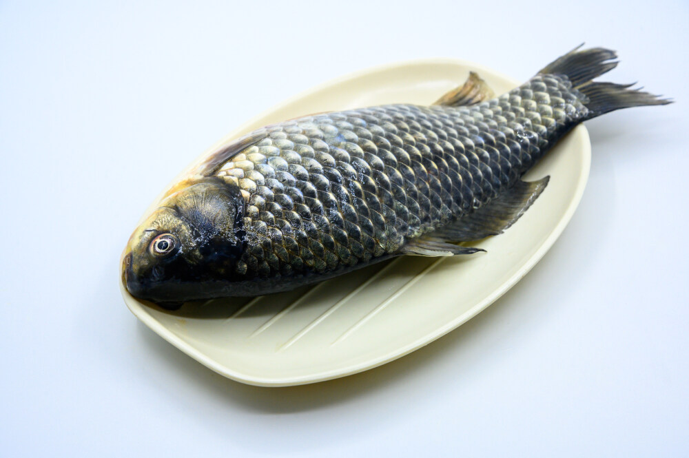 鲫鱼 生物 水生生物 水产品 海产品 鱼类 海鲜 狗杠鱼 推浪鱼 沙逛鱼 地龙鱼 天浪鱼 光鱼 海鱼 新鲜 动物 海洋动物 室内 食材 食物 待加工 烹饪 野生鱼 捕捞 特写 黑色背景 容器 简单背景 白瓷盘 瓷器 整条鱼 饮食 营养丰富 中国 葱 大葱 蒜 大蒜 辣椒 红色 辛辣 佐料 调料
