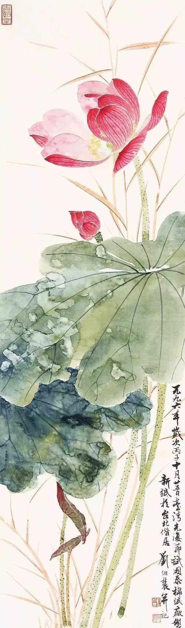 国画花鸟