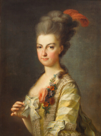 泰申公爵夫人玛丽亚·克里斯蒂娜（Maria Christina Johanna Josepha Antonia，1742年5月13日－1798年6月24日），是奥地利的玛丽娅·特蕾莎和弗朗茨一世 (神圣罗马帝国)的第五个孩子。她于1766年和萨克森的阿尔贝特王子…