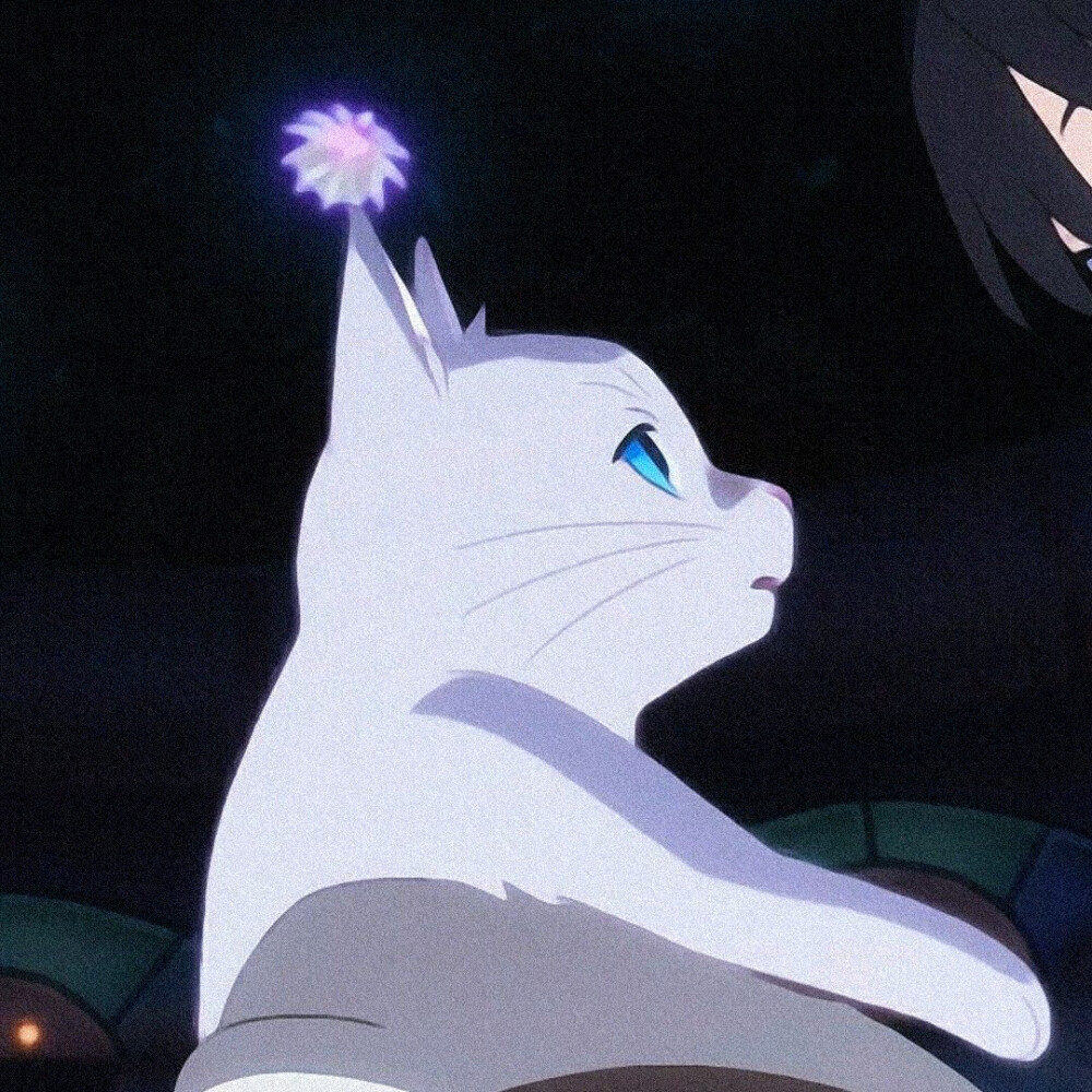 《想哭的我戴上猫的面具》