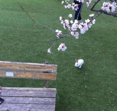 再见一次还会心动