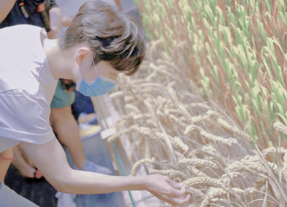 肖战
自修 二传注明林希甜 禁二改