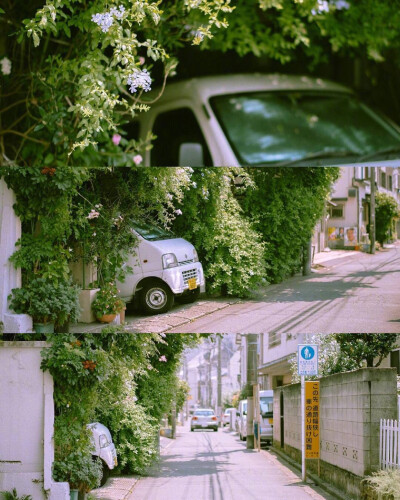 東京的夏 