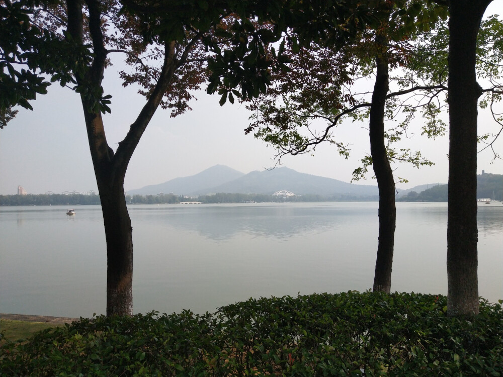 2018.10 南京安徽江西旅行 花朵植物
玄武湖公园