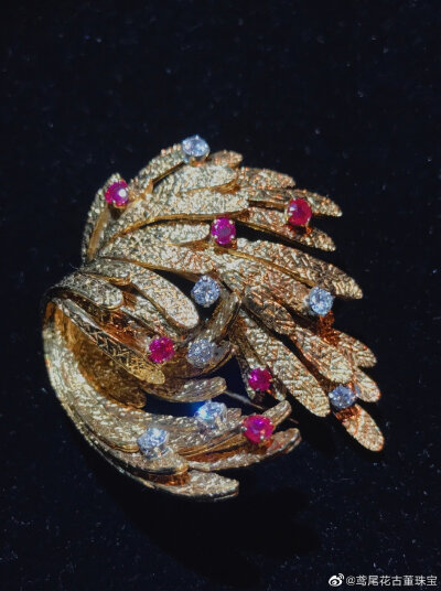 璀璨–微博转载