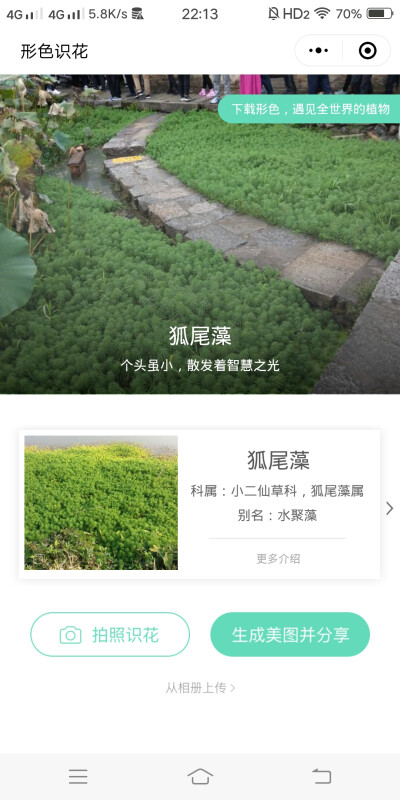 2018.10 南京安徽江西旅行 花朵植物
安徽 