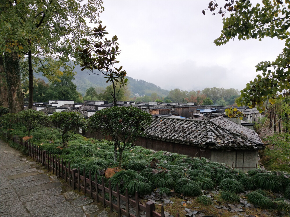 2018.10 南京安徽江西旅行 花朵植物
安徽 宏村