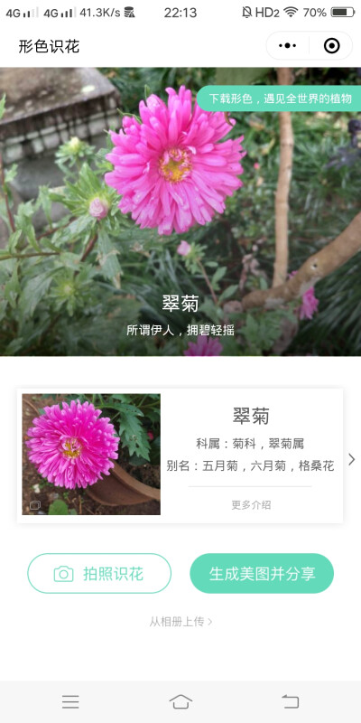 2018.10 南京安徽江西旅行 花朵植物
安徽 