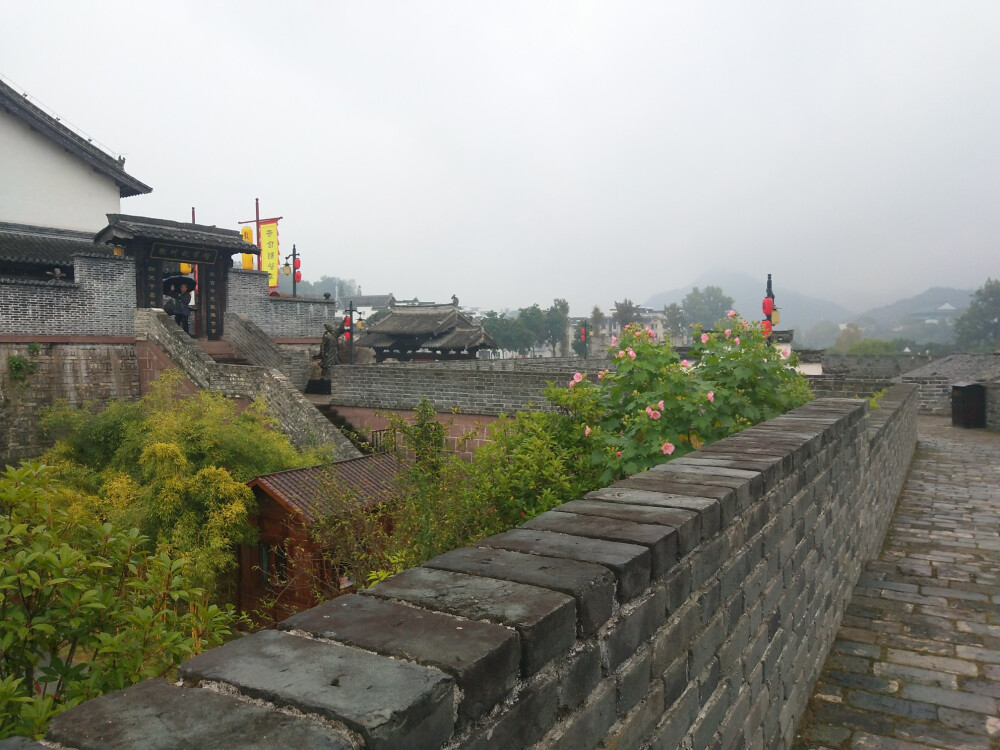 2018.10 南京安徽江西旅行 花朵植物
安徽 歙县 徽州古城