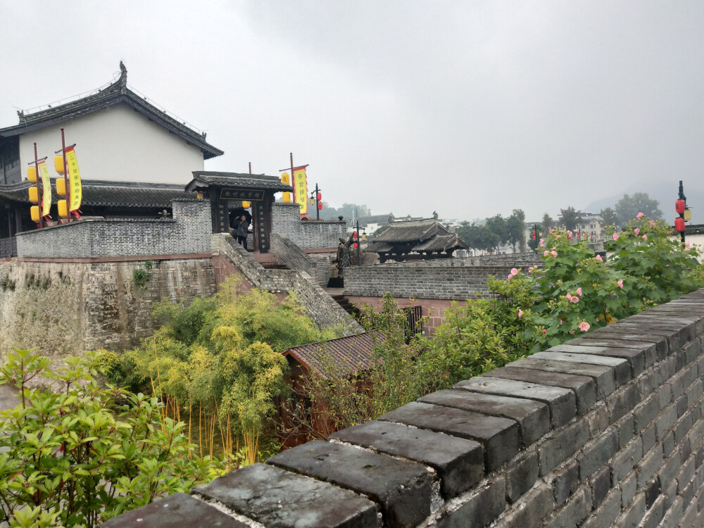 2018.10 南京安徽江西旅行 花朵植物
安徽 歙县 徽州古城