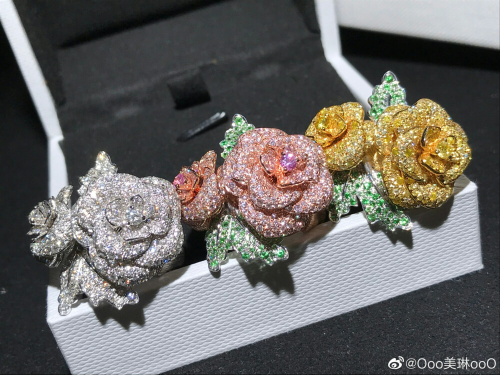 璀璨–微博转载