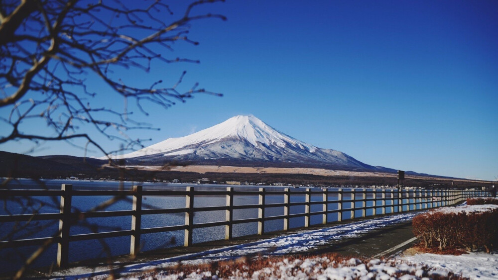 日本