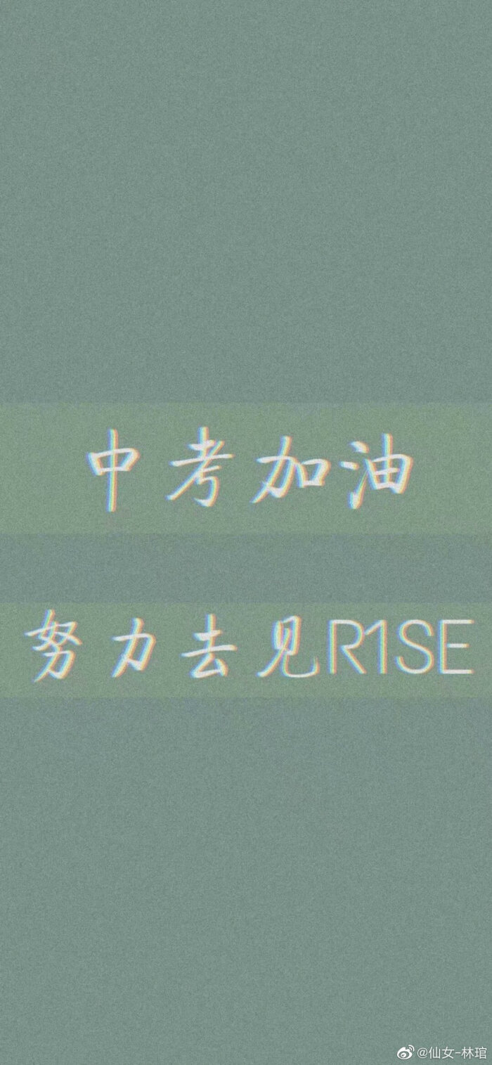 R1SE