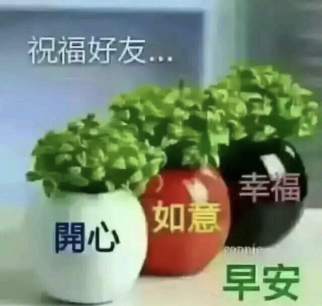 中老年表情包