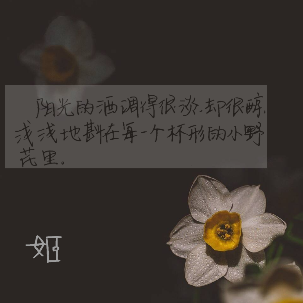 [姬有钱手写]｜自制文字摘抄图片壁纸 禁二传 欢迎喜欢 这组我超喜欢哒