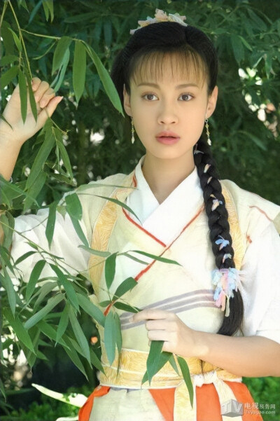 杨雪 小鱼儿与花无缺