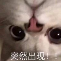 超级可爱的真人表情包