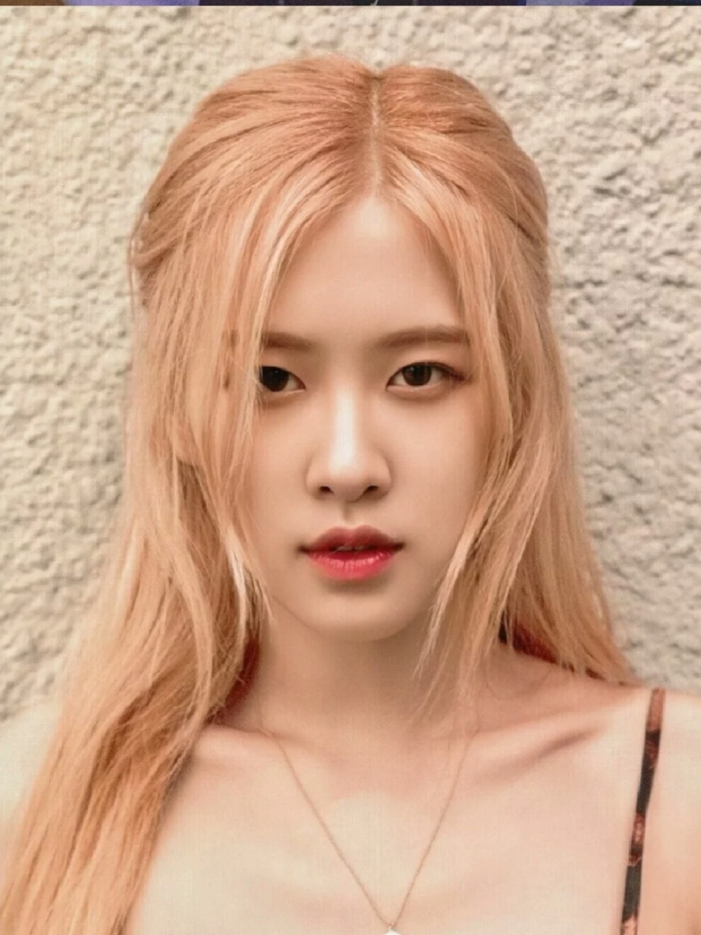 rosé—朴彩英
澳洲野玫瑰
人间蜜嗓