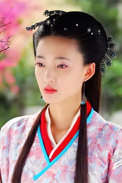 美人心计 王丽坤