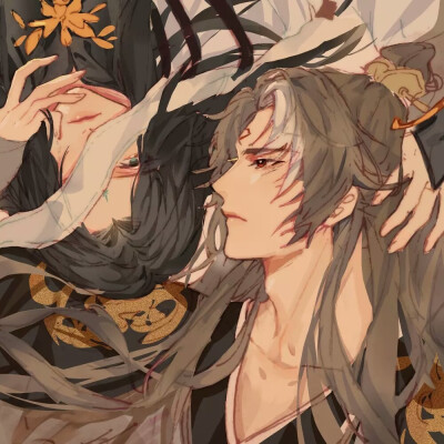 西凤酒
画师LOFTER：不现实主义