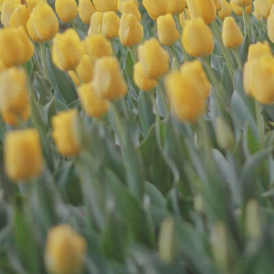 再见一次还会心动