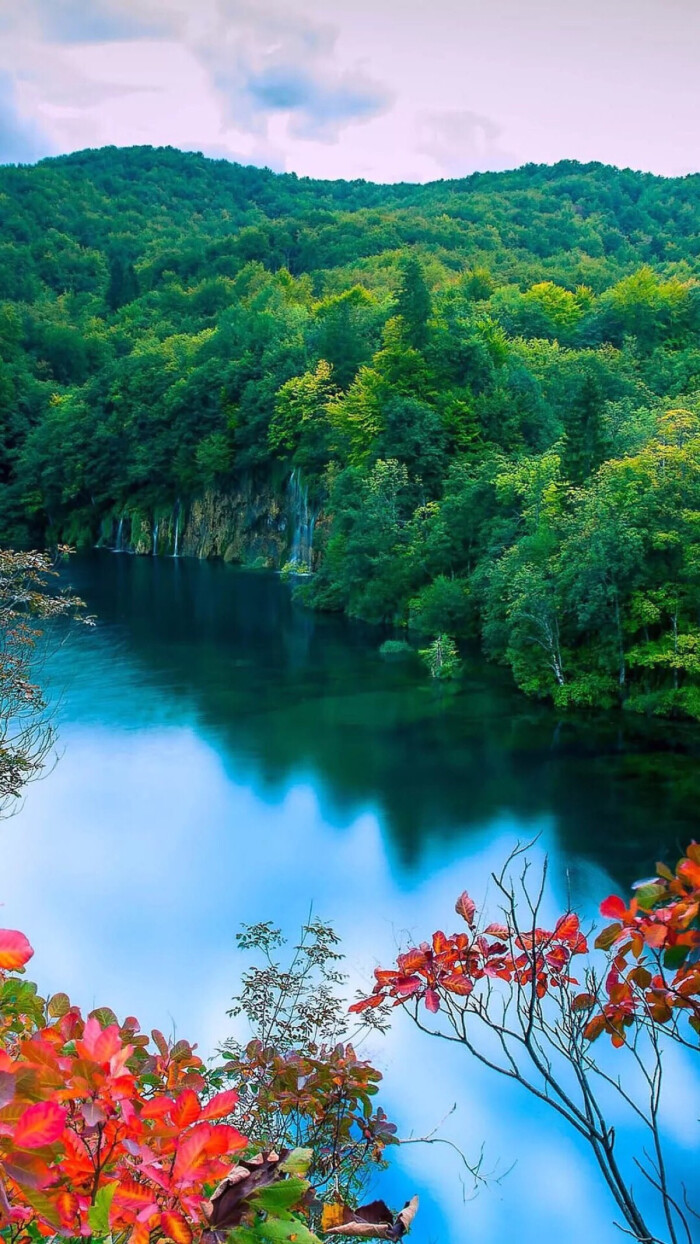 景