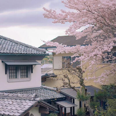 再见一次还会心动