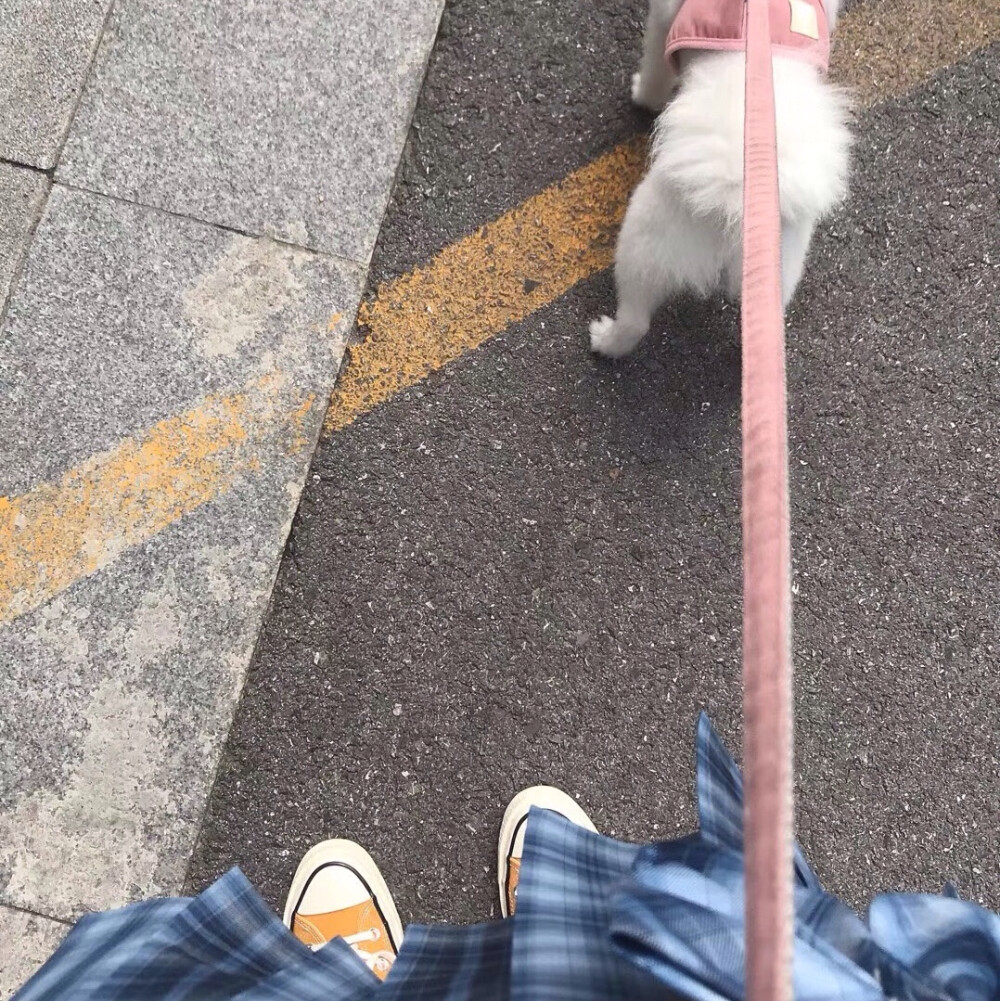 这里是悦悦呐
很喜欢喜欢小故事
所以自己写啦
为每天努力的悦悦打call叭
来主页找我玩哦