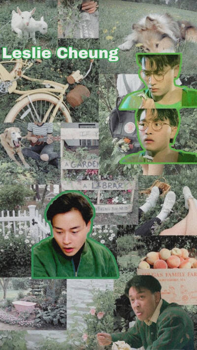 张国荣 哥哥 风华绝代
图源p1水印，侵删歉