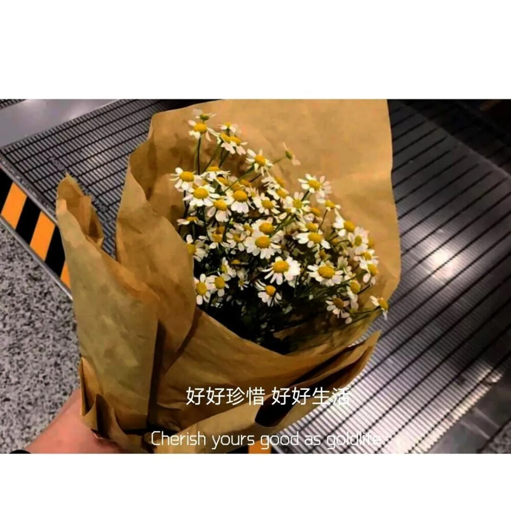 ta突然出现在访客记录里的人到底是惊喜还是惊吓？