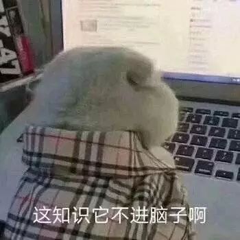 表情包吖
