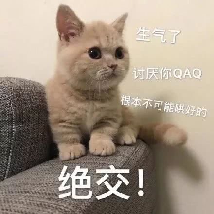 表情包吖
