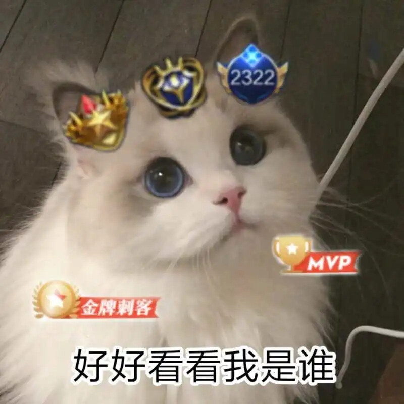 王者 猫咪 头像