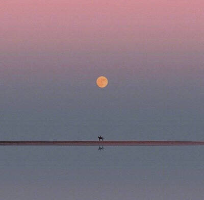 夕阳无限好，只是近黄昏
