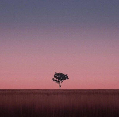 夕阳无限好，只是近黄昏