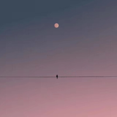 夕阳续
