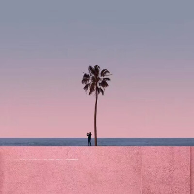 夕阳续