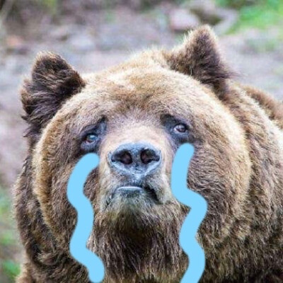 棕熊表情包流泪暴哭