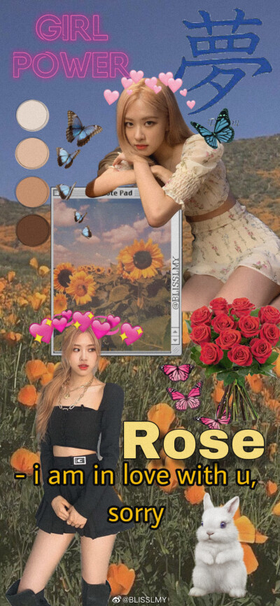 朴彩英Rose壁纸