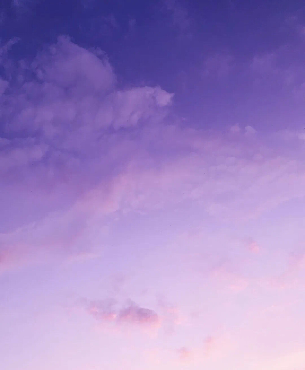 温柔紫