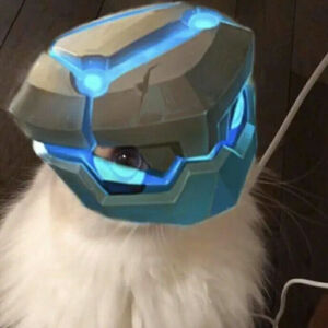 王者开黑头像,找不到进专辑 - 高清图片,堆糖,美图壁纸兴趣社区