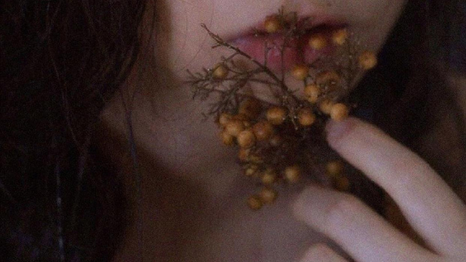 ❥ 拿图d，橙光素材 by：紫菜君.