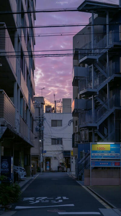 城市